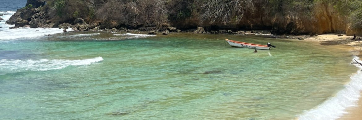 Alphaft banner