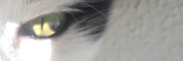 birgitschmid2 Profile Banner