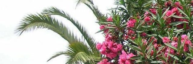 alorbabre's profile banner image