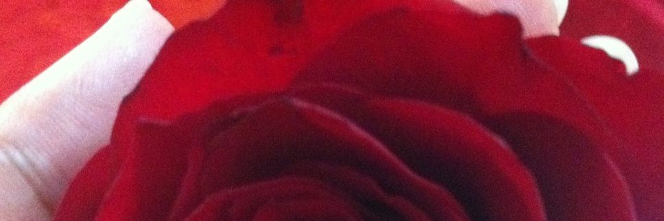 Thewitch banner