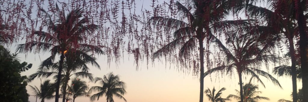 chezz24's profile banner image