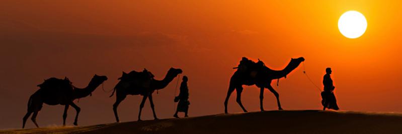 akhilranka's profile banner image