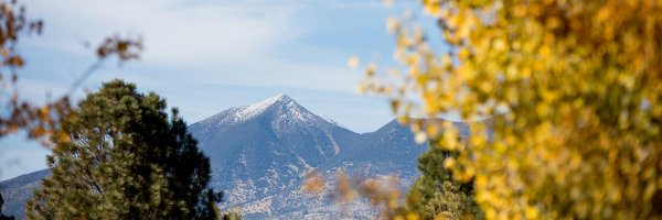 NAU_CIO Profile Banner