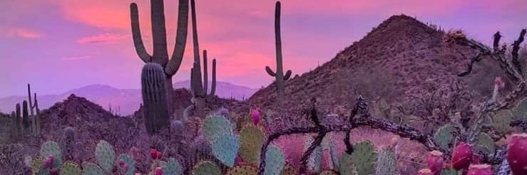 HaleyRuperti's profile banner image