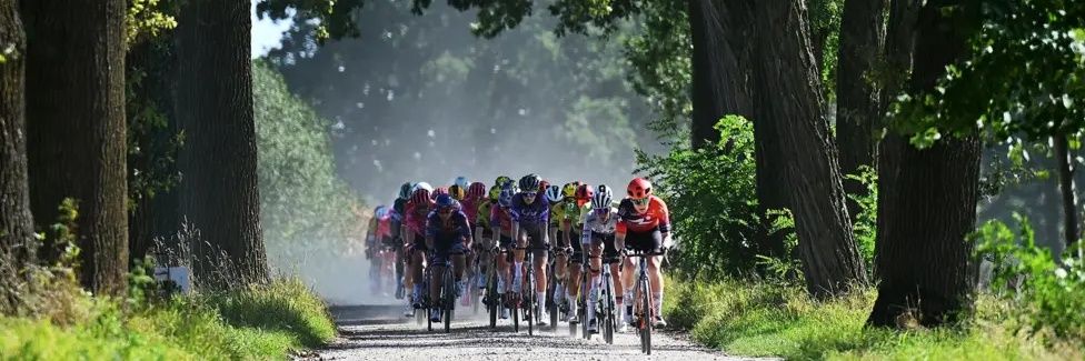 Waleed Khalid banner