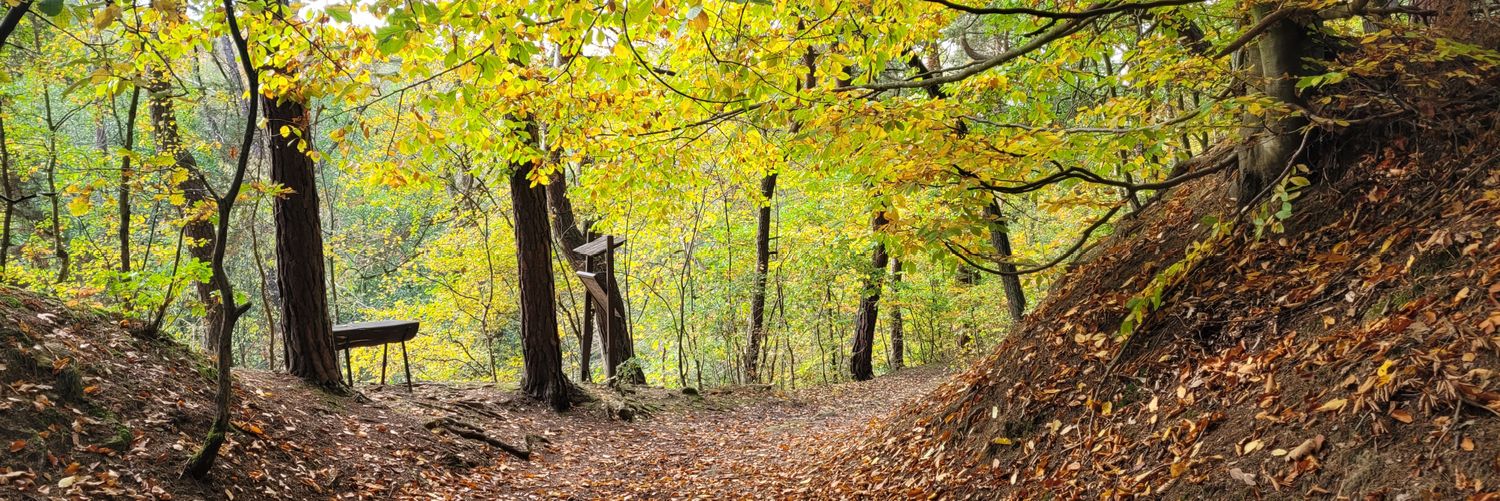 Petra Čechová banner