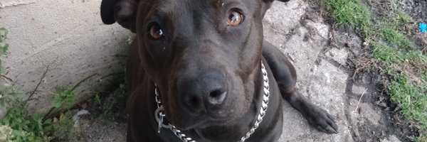 MrWhitty904 Profile Banner