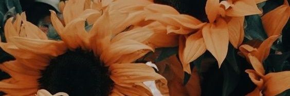 ibdtm_'s profile banner image
