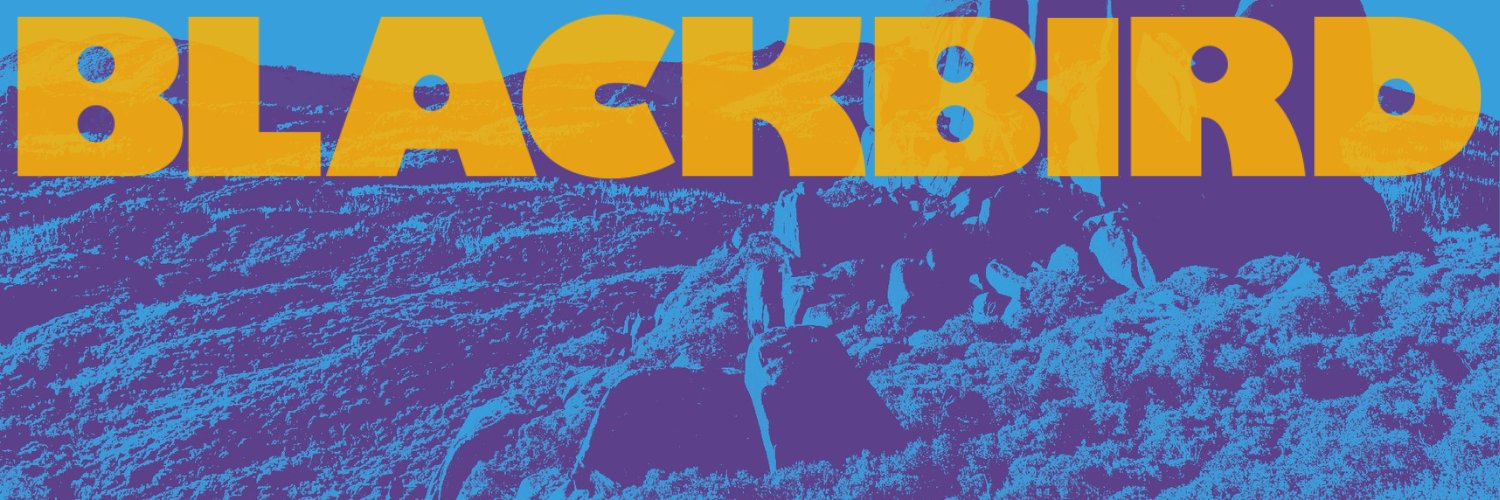 Blackbird banner