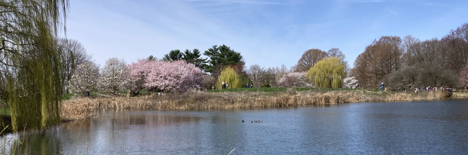 Lori Raetzman banner