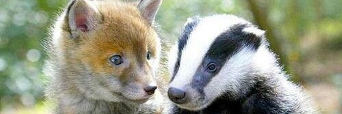 Markus Bindig 🇩🇪🇬🇧🇺🇸 banner