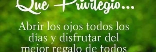 pilaralmada2's profile banner image