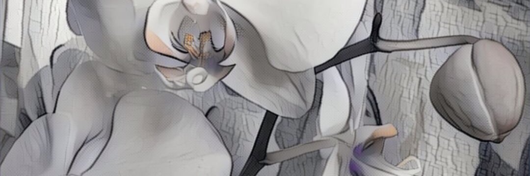 six4certain's profile banner image