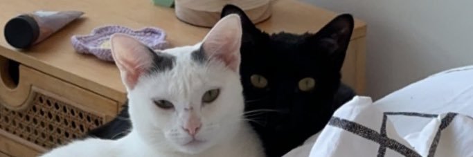 fran + cleo ❤️ banner