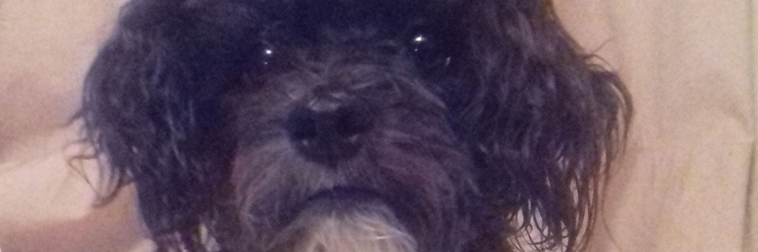 pitspits114's profile banner image