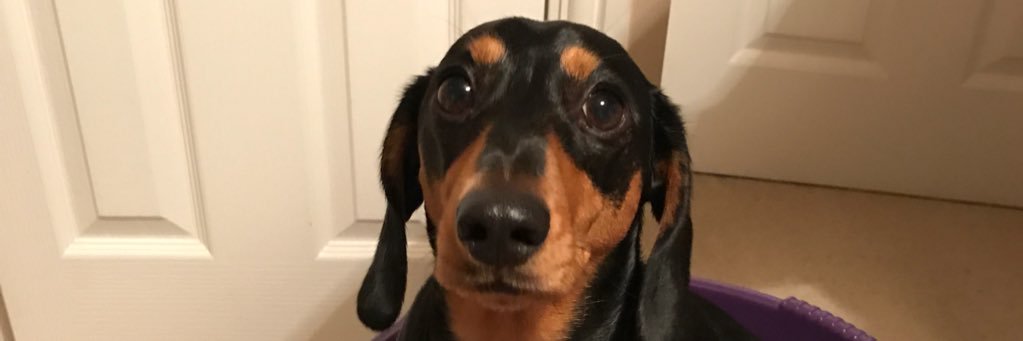 Emma banner