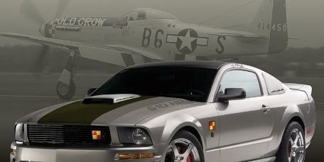 P51 Dave banner
