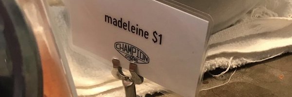 tenuous Profile Banner