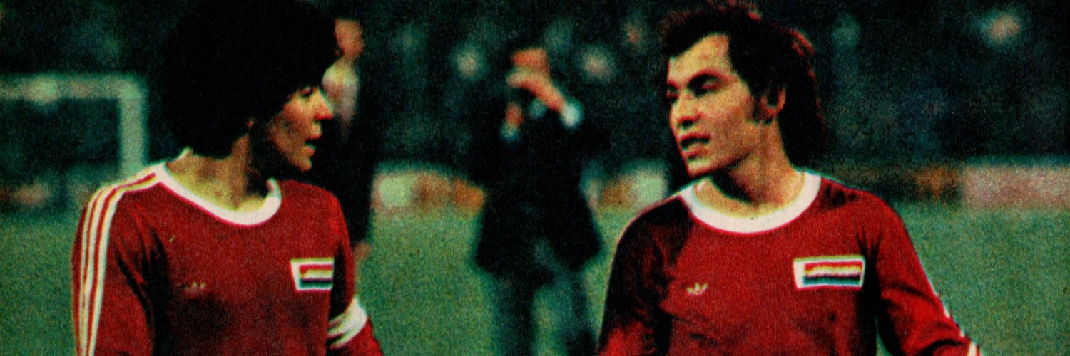 Bochini Retro banner