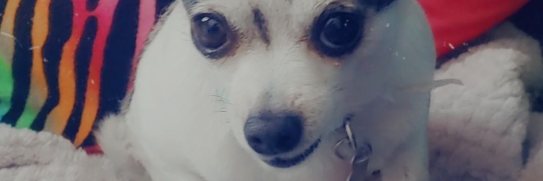 FluffleButtGurl's profile banner image