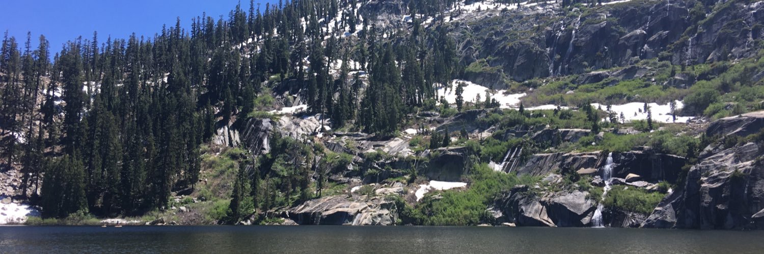 Sequoia banner