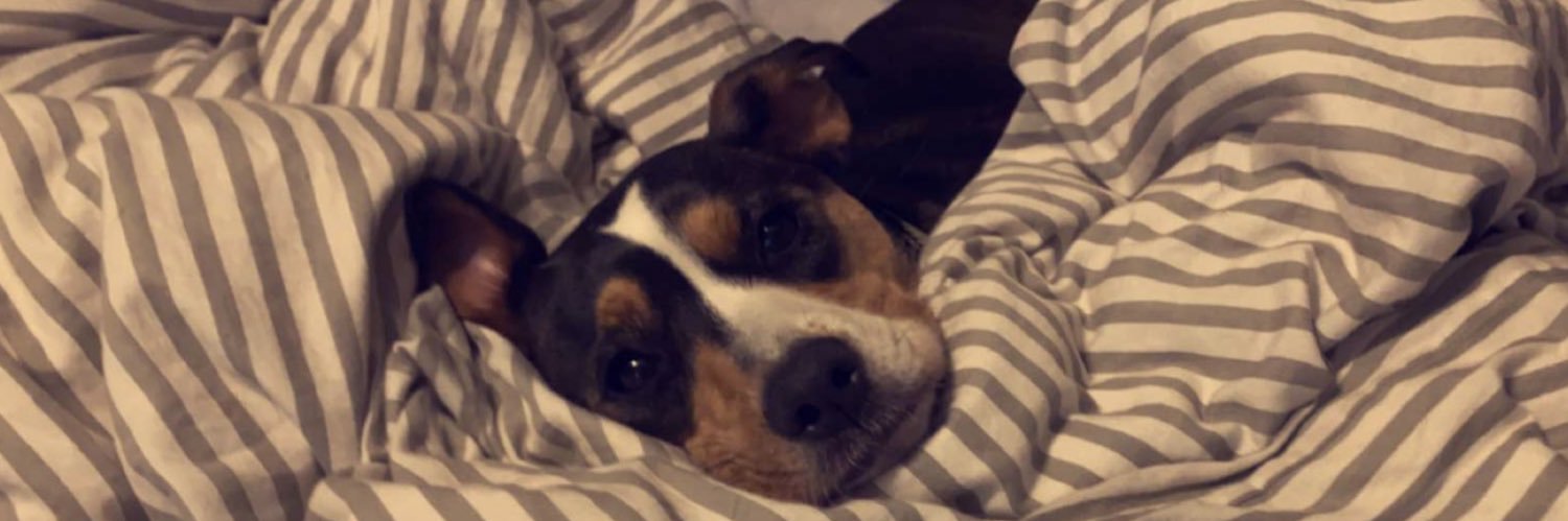 rileyates's profile banner image