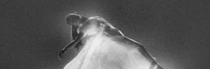 Adultarianator's profile banner image