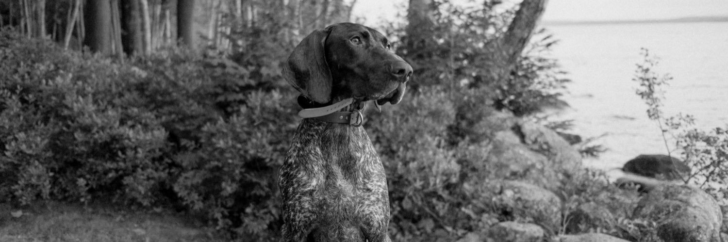 mdunlap_5's profile banner image