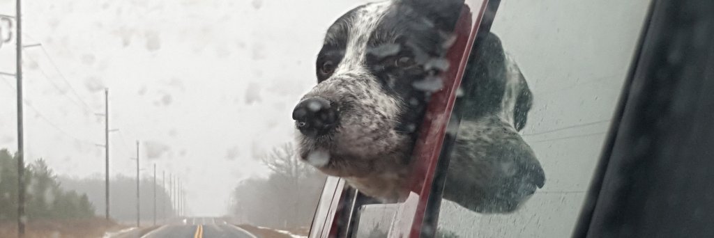 CaptnTony's profile banner image