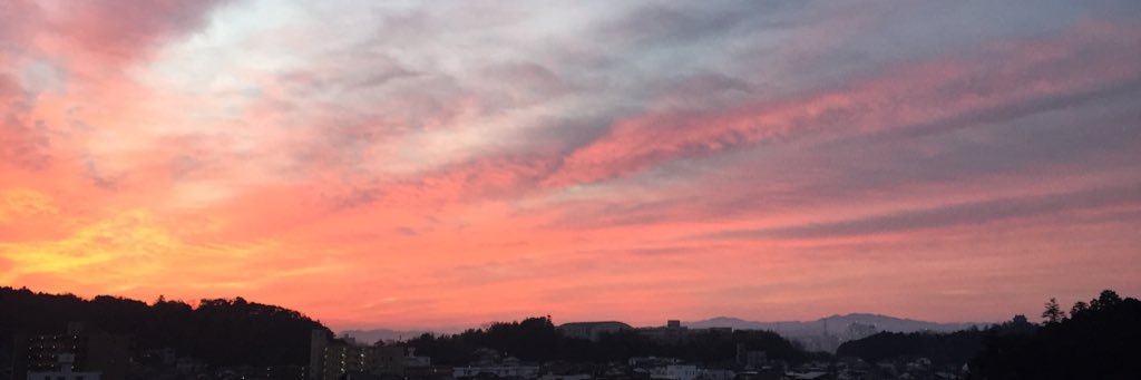 joypopsnnmt's profile banner image