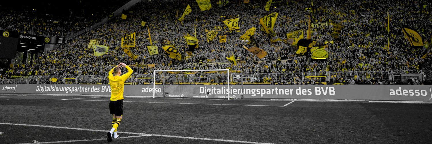 روزيسكي banner
