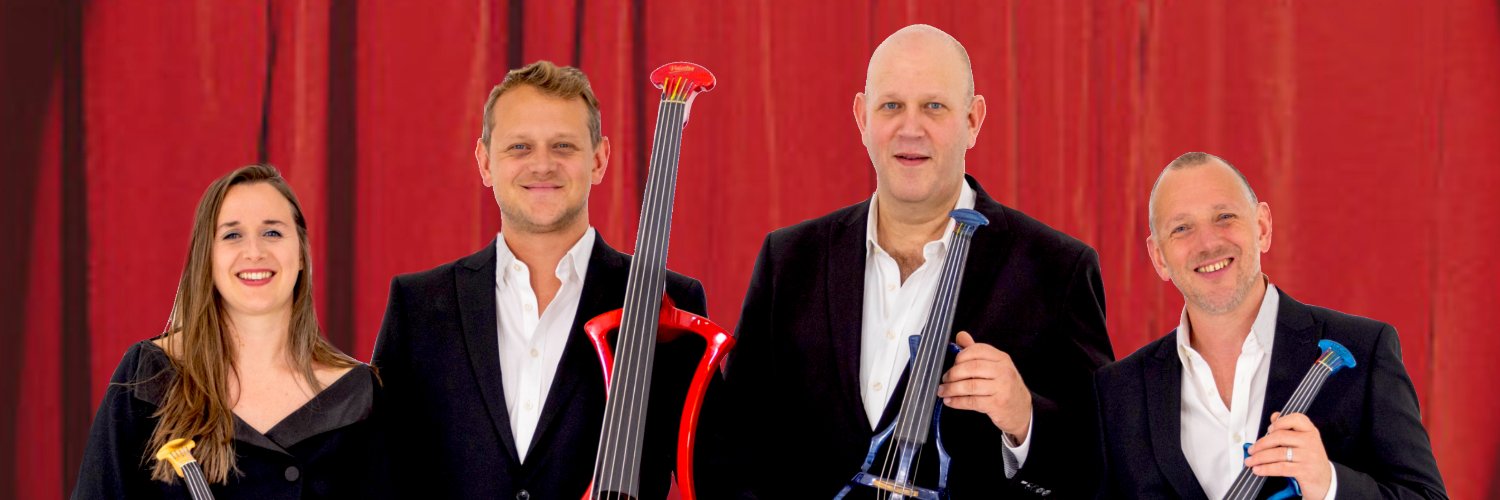 Stringfever banner