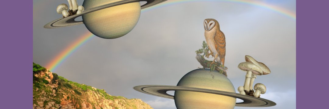 groomedla's profile banner image