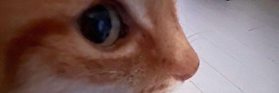 ccaro___'s profile banner image