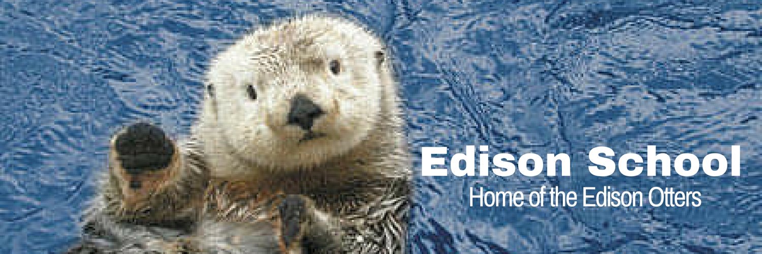 EdisonOtters's profile banner image