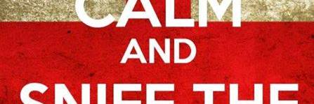 IANPERRY8's profile banner image