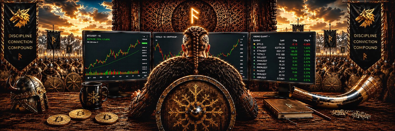 Viking Quant banner