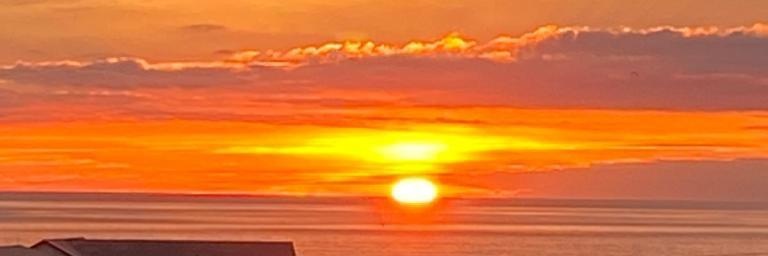 Paul Williams🦁 banner