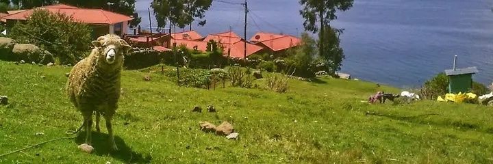 Kentoya Rekino ♓ banner