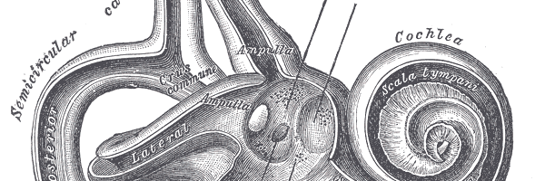 laurencorman's profile banner image