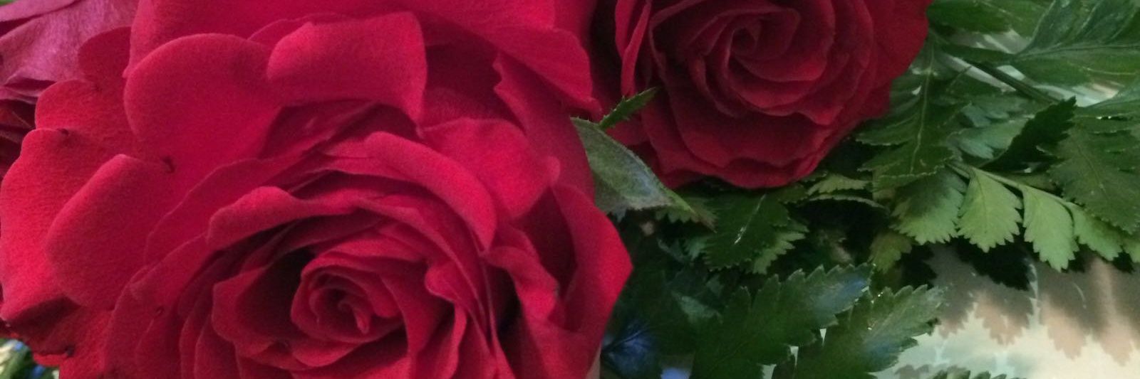 aloufeb's profile banner image