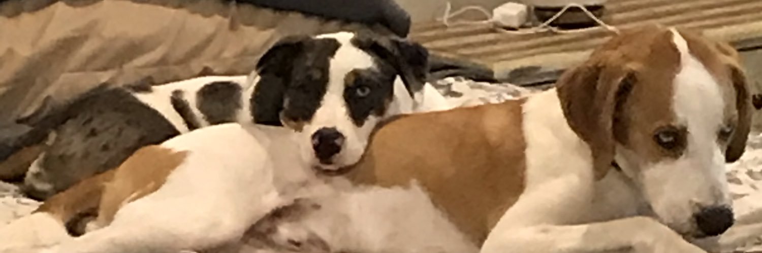 tommymad8's profile banner image