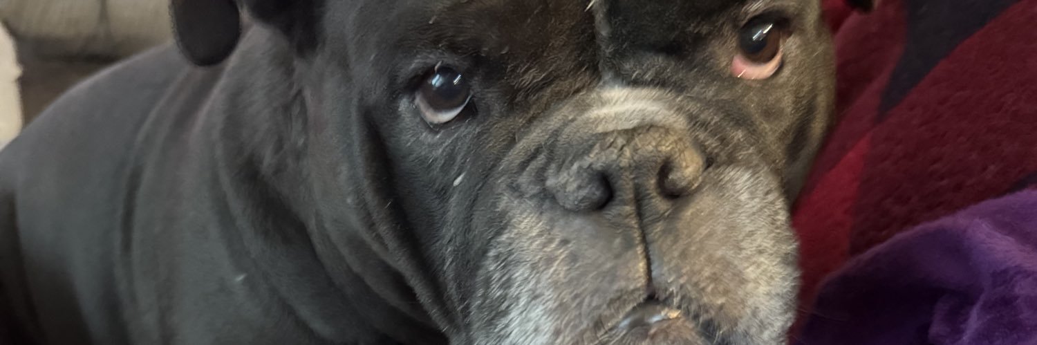 Clint Endicott banner