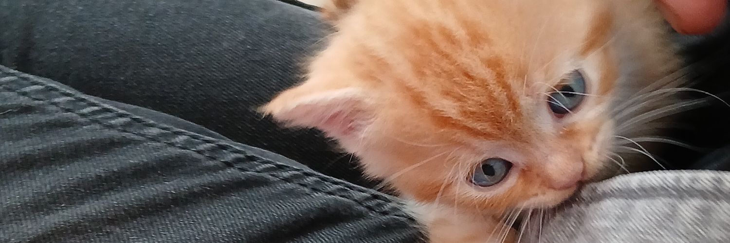 Esenyurtlu ama iyi banner