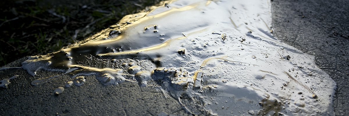 Sayf_SF's profile banner image