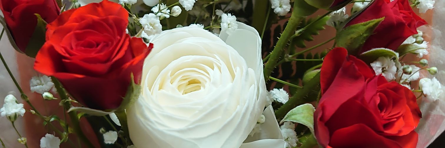 fukusuke_54's profile banner image