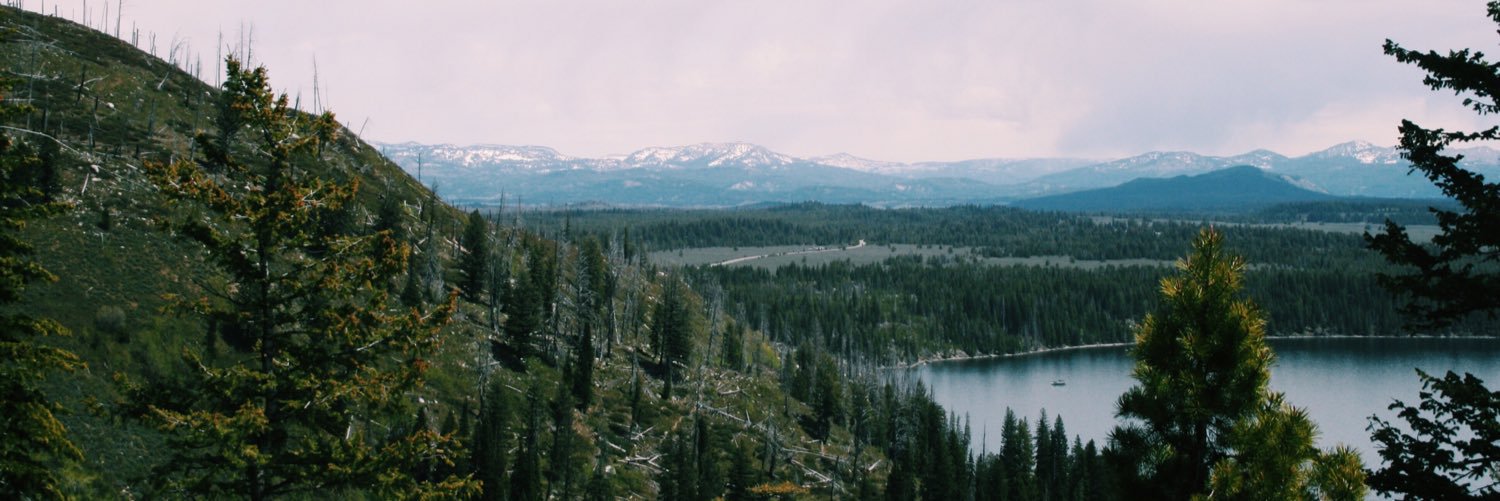 JennKellner's profile banner image
