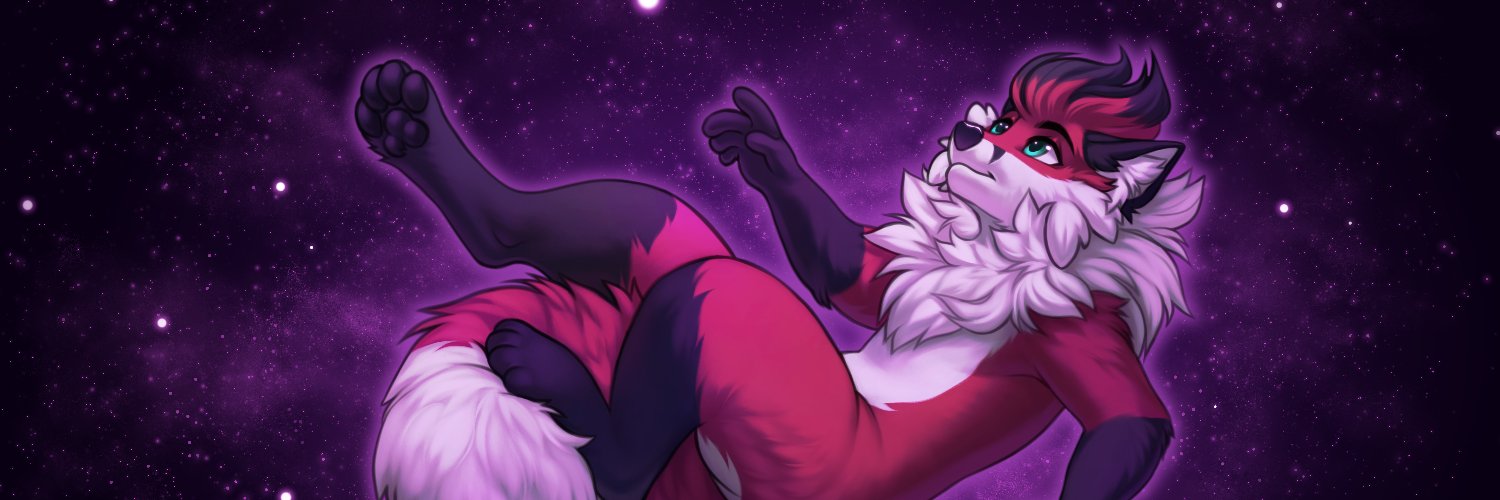 Zoru 🦊 banner