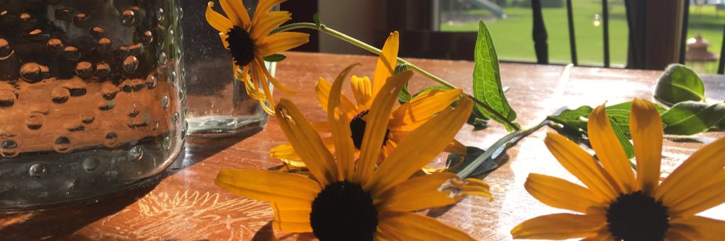 cassi_robl's profile banner image