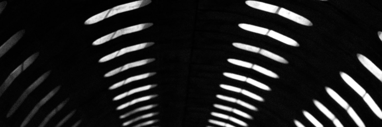 NJ_91's profile banner image